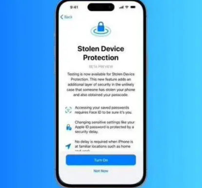芦山苹果授权维修店分享被盗设备保护功能开启方法 