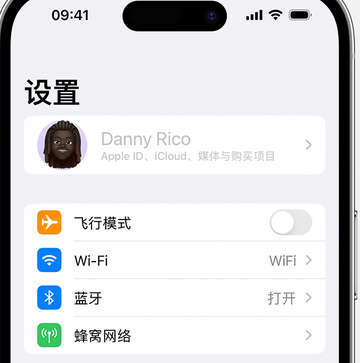 芦山appleID维修服务iPhone设置中Apple ID显示为灰色无法使用 