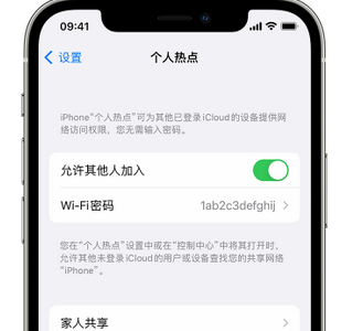 芦山apple服务站点分享iPhone上个人热点丢失了怎么办 