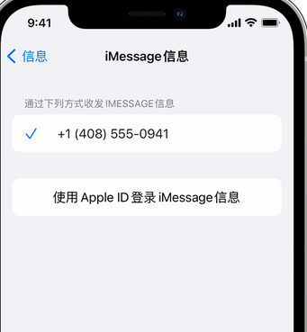 芦山apple维修iPhone上无法正常发送iMessage信息 