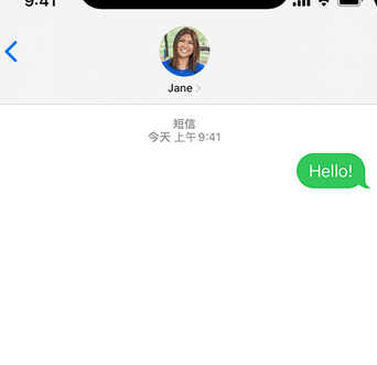 芦山apple维修iPhone上无法正常发送iMessage信息