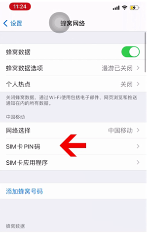 芦山苹果14维修网分享如何给iPhone14的SIM卡设置密码 