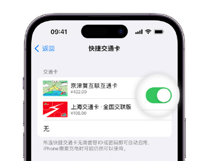 芦山apple维修点分享iPhone上更换Apple Pay快捷交通卡手绘卡面 