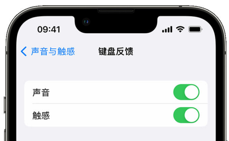 芦山苹果手机维修分享iPhone 14触感键盘使用方法 