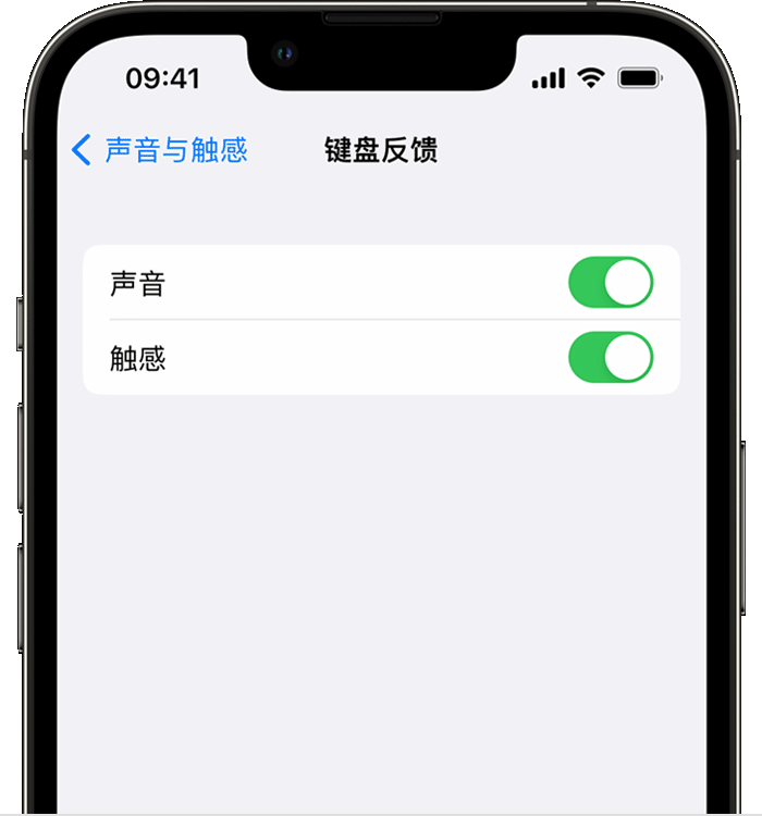 芦山苹果14维修店分享如何在 iPhone 14 机型中使用触感键盘 