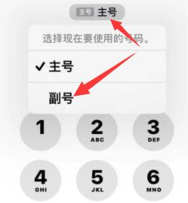 芦山苹果14维修店分享iPhone 14 Pro Max使用副卡打电话的方法 