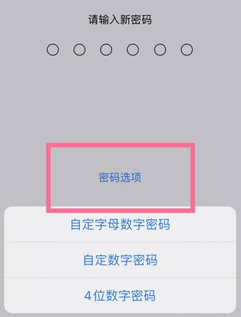 芦山苹果14维修分享iPhone 14plus设置密码的方法 