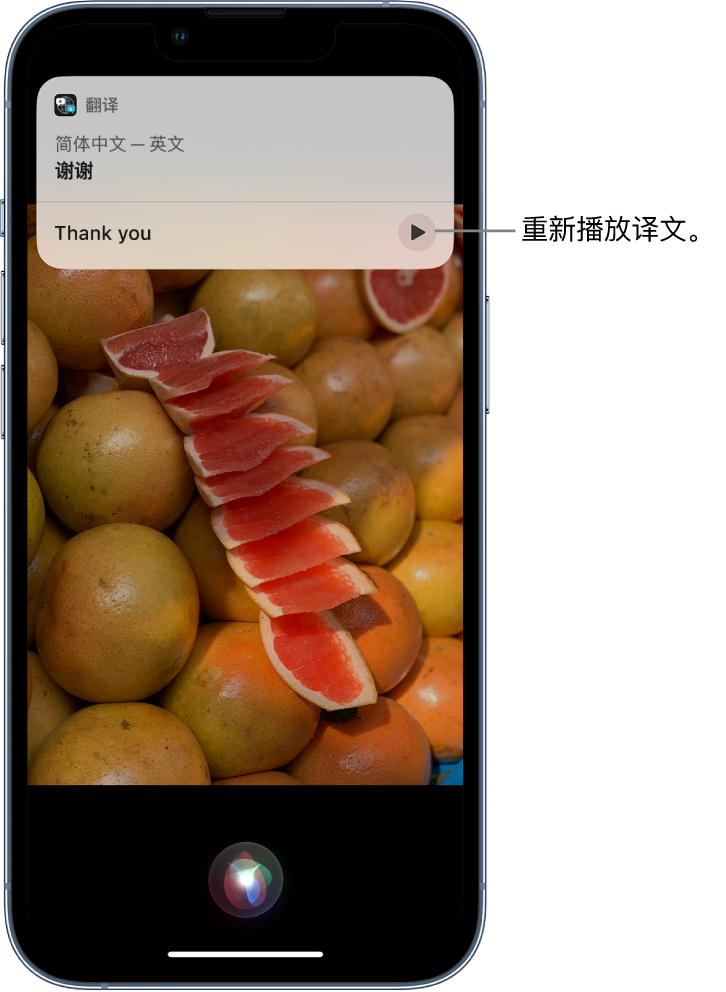 芦山苹果14维修分享 iPhone 14 机型中使用 Siri：了解 Siri 能帮你做什么 