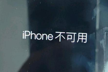 芦山苹果服务网点分享锁屏界面显示“iPhone 不可用”如何解决 