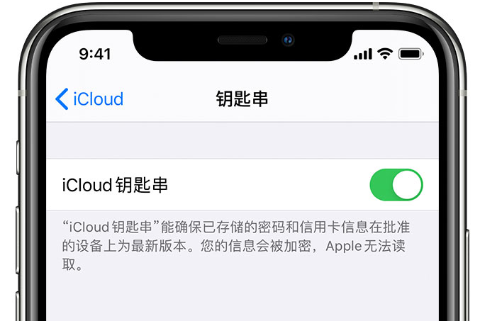 芦山苹果手机维修分享在 iPhone 上开启 iCloud 钥匙串之后会储存哪些信息 