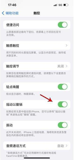 芦山苹果手机维修分享iPhone手机如何设置摇一摇删除文字 